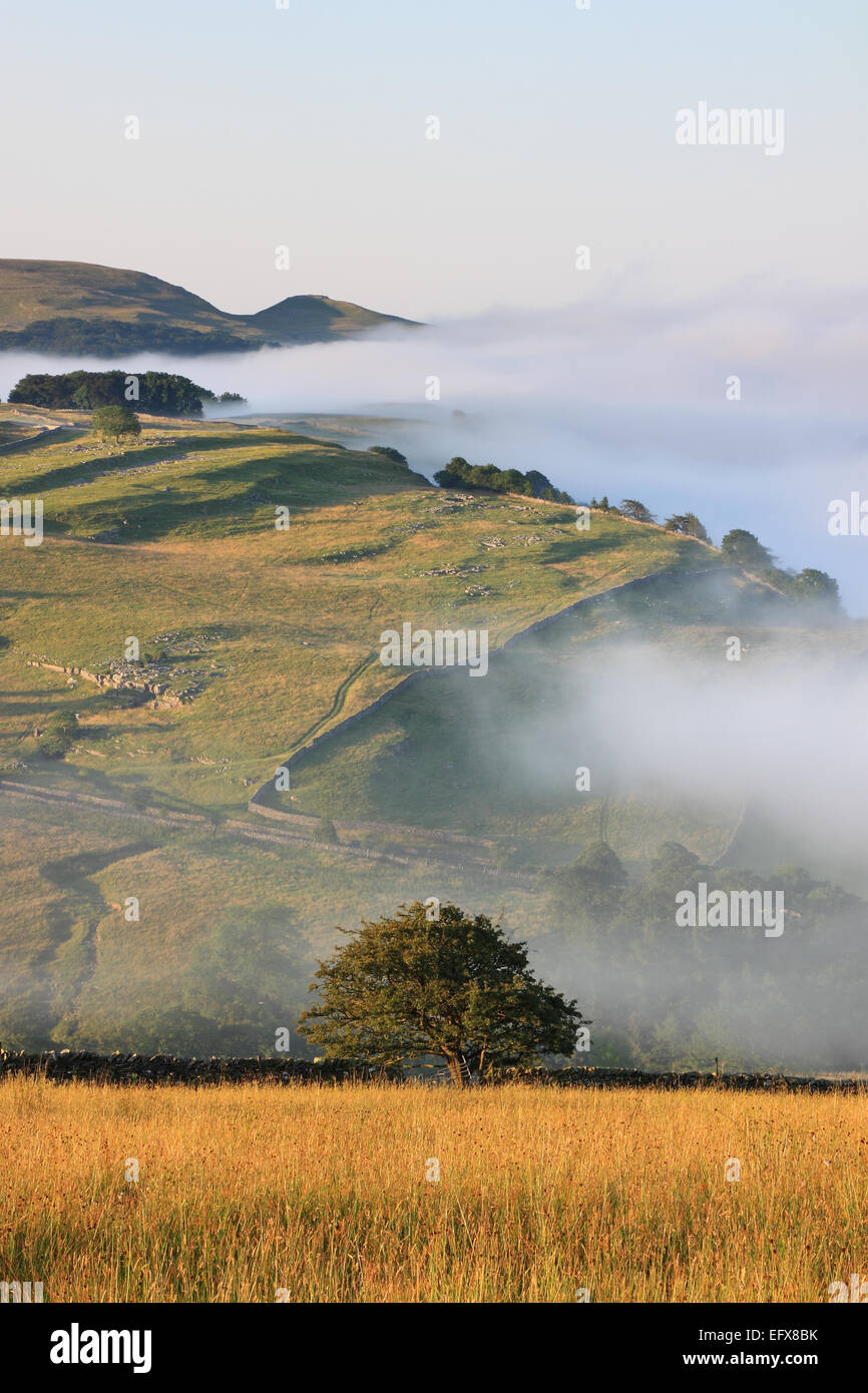 Un matin brumeux au-dessus dans le Yorkshire Dales Stainforth, avec une vue dans la distance de l'Warrendale Knotts, près de régler Banque D'Images