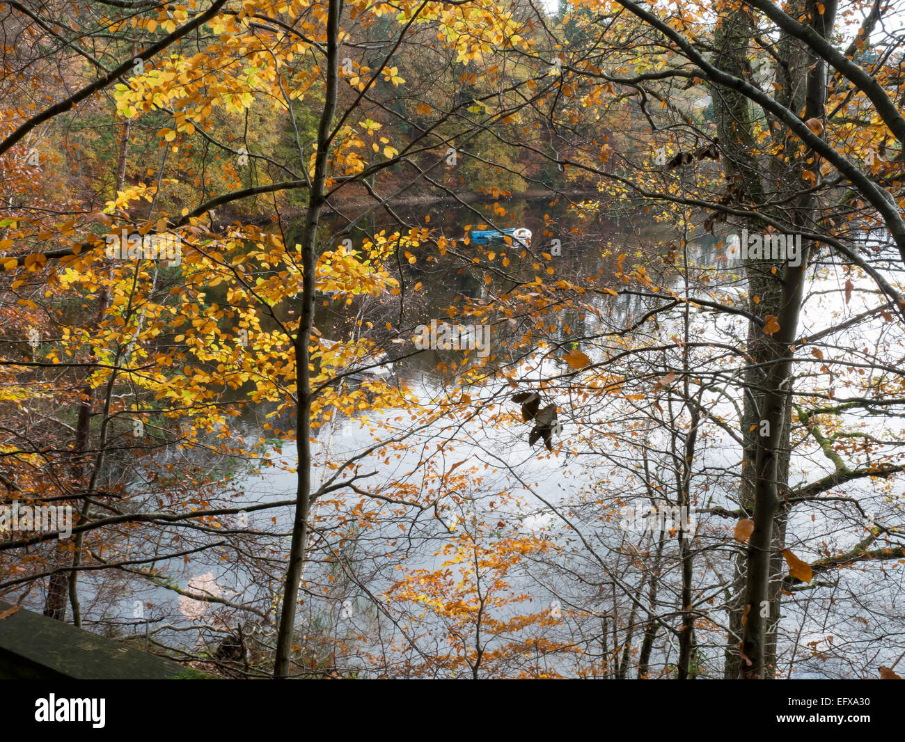 River Tummel, Perth et Kinross, Scotland Banque D'Images