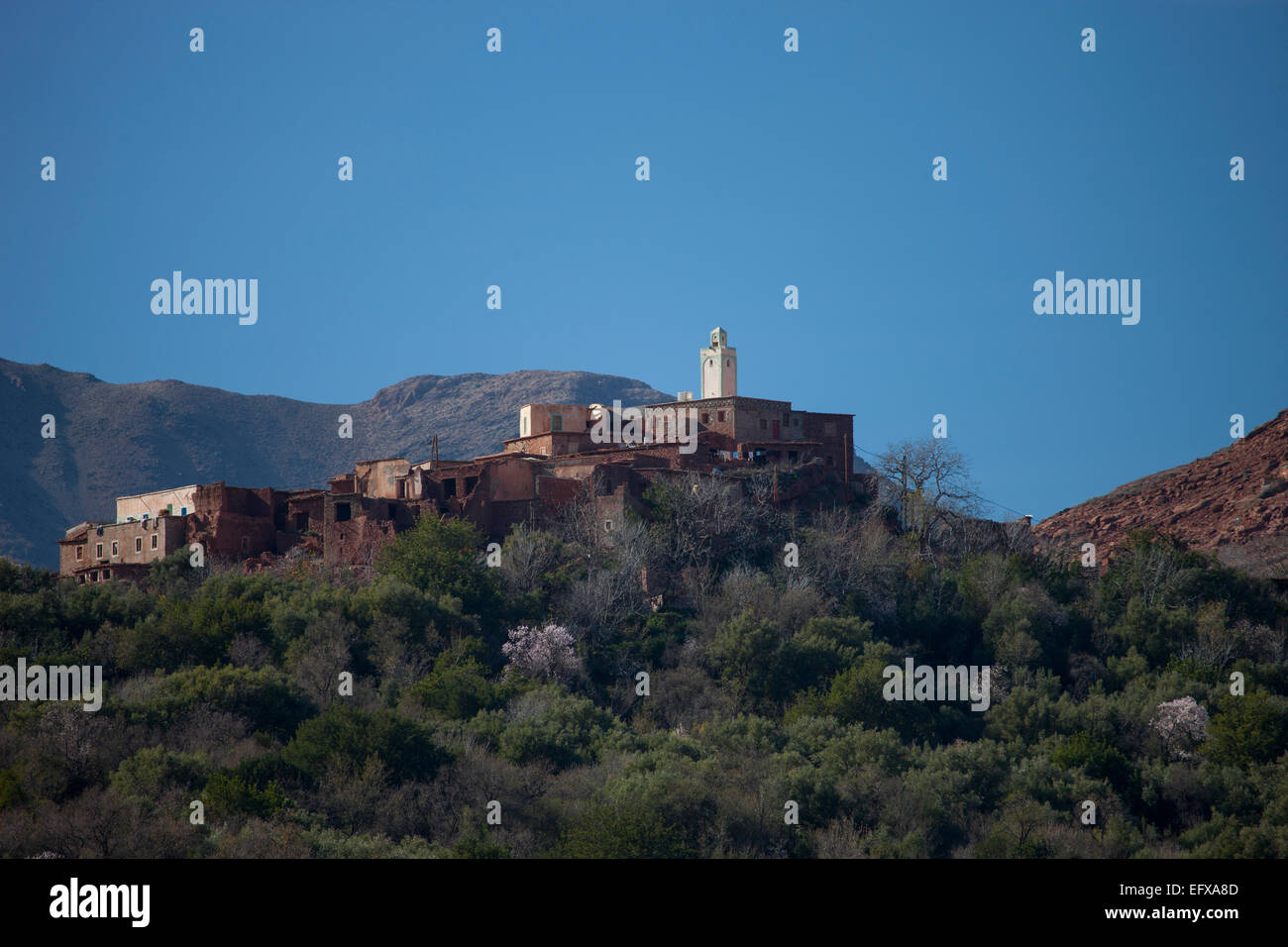 Vue sur le village et la mosquée sur la montagne, l'Atlas, Maroc Banque D'Images