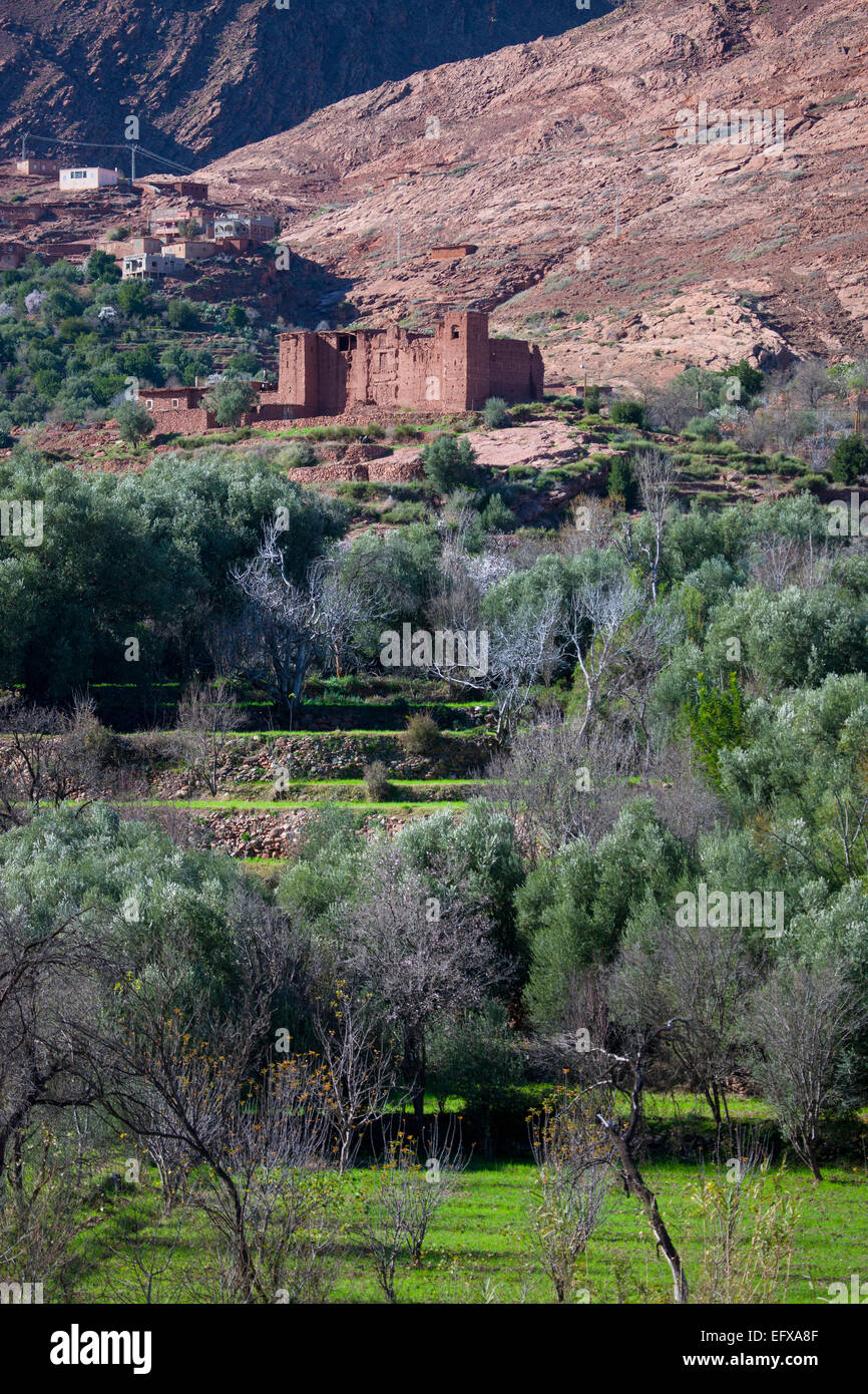 Vue de village de montagne et mosquée, Atlas, Maroc Banque D'Images