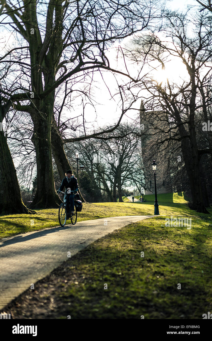 Cycliste en passant par park à Brugge, Belgique Banque D'Images