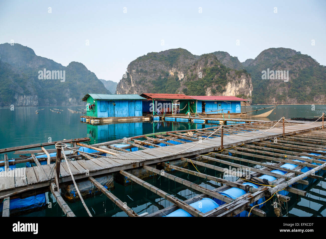 Ferme ostréicole, Halong Bay, Vietnam Banque D'Images