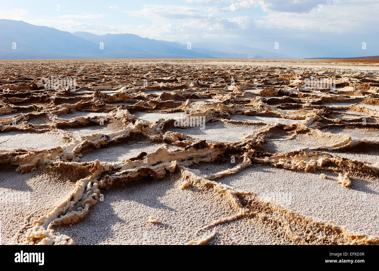 Salzkrusten, croûte de sel, le bassin de Badwater, Tal des Todes, Death Valley, USA, United States of America Banque D'Images