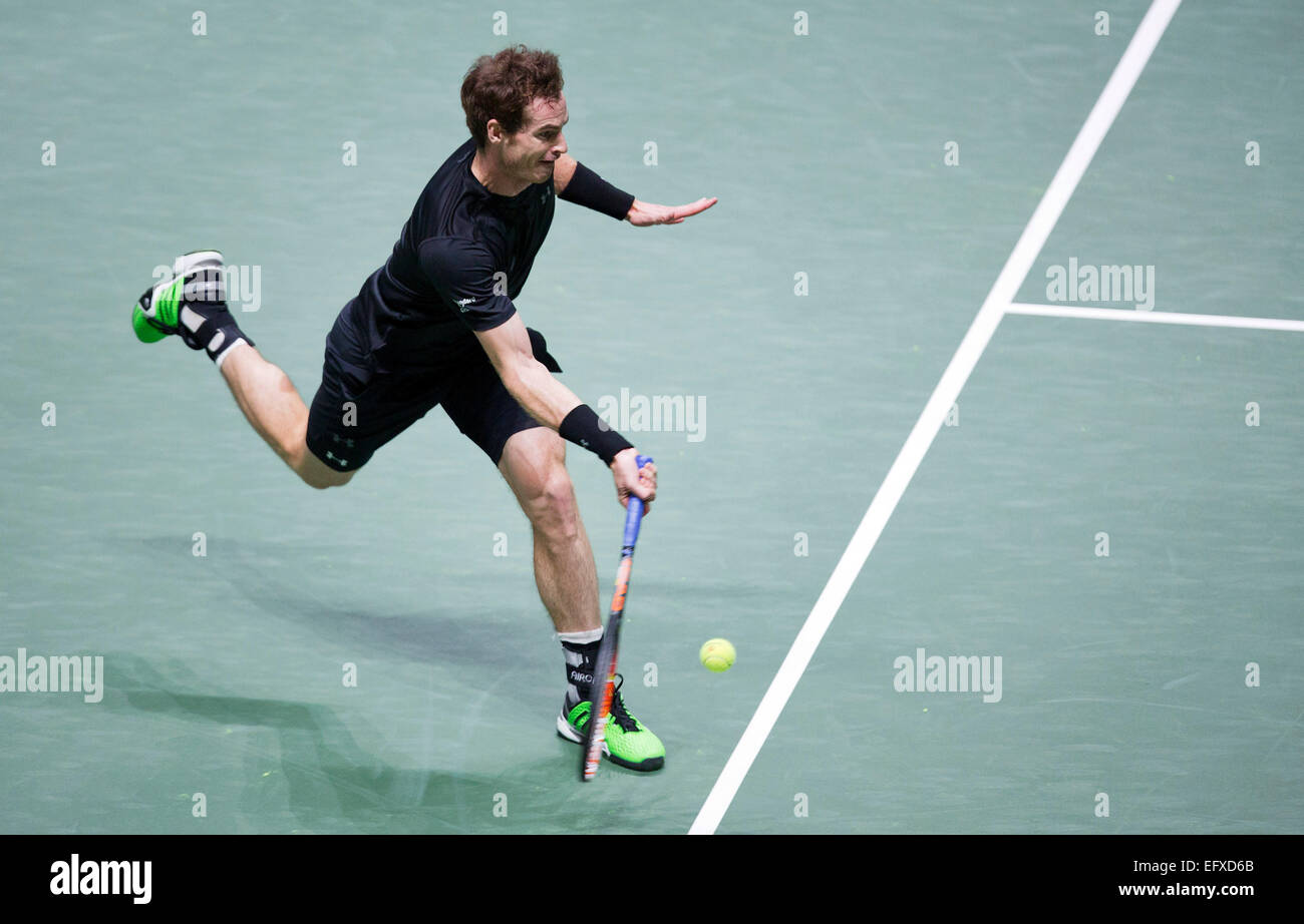 Rotterdam, Pays-Bas. 11 Février, 2015. Ahoy, ABN AMRO World Tennis Tournament, Andy Murray (GBR) dans son match contre Nicolas Mahut (FRA). Credit : Henk Koster/Alamy Live News Banque D'Images