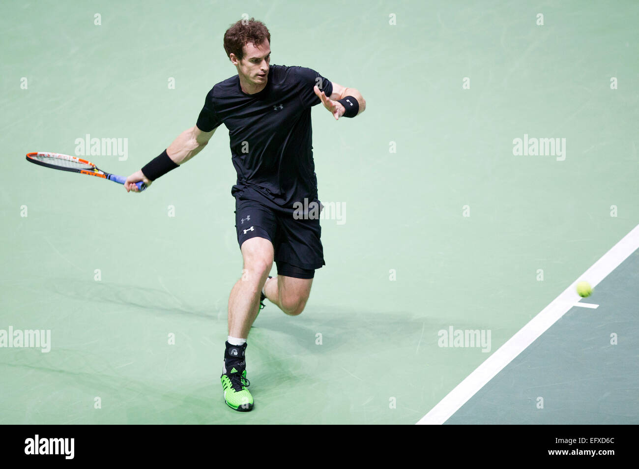 Rotterdam, Pays-Bas. 11 Février, 2015. Ahoy, ABN AMRO World Tennis Tournament, Andy Murray (GBR) dans son match contre Nicolas Mahut (FRA). Credit : Henk Koster/Alamy Live News Banque D'Images