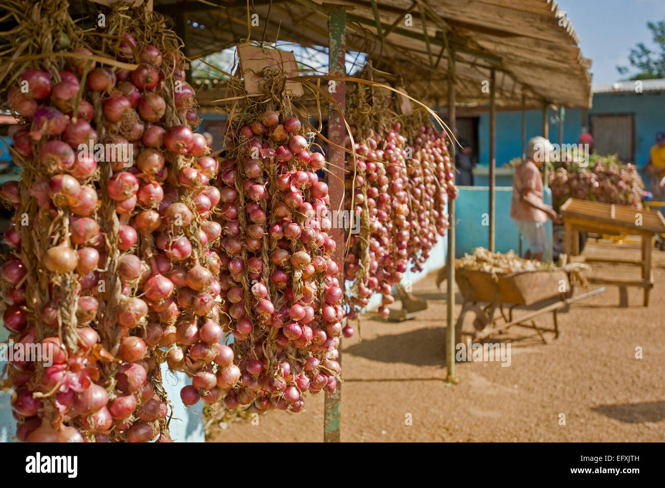 Vue horizontale de la principale marché de fruits et légumes à Camaguey, Cuba. Banque D'Images