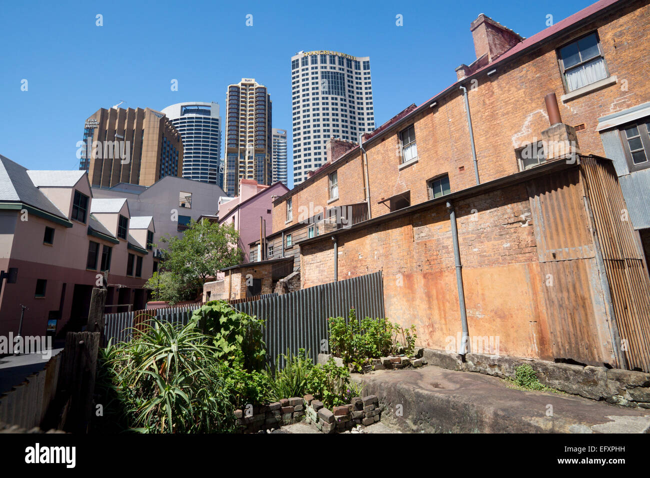 L'arrière de la 19e siècle exposée de maisons formant Susannah Place Museum et tour de blocs contemporain moderne Sydney NSW Australie Banque D'Images