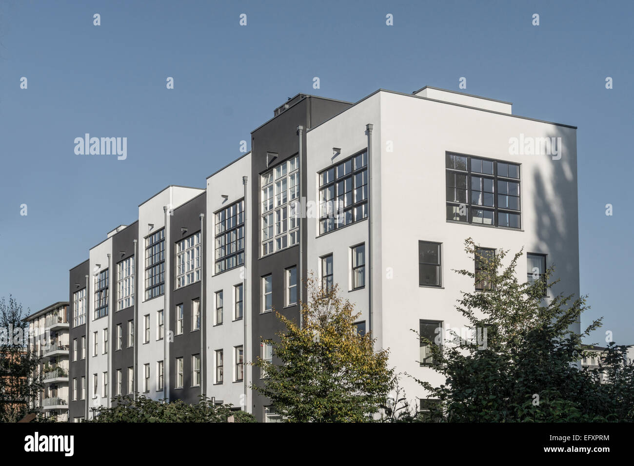 L'architecture moderne, de l'immobilier, maison de ville, Rummelsburger Bucht, Berlin, Allemagne Banque D'Images