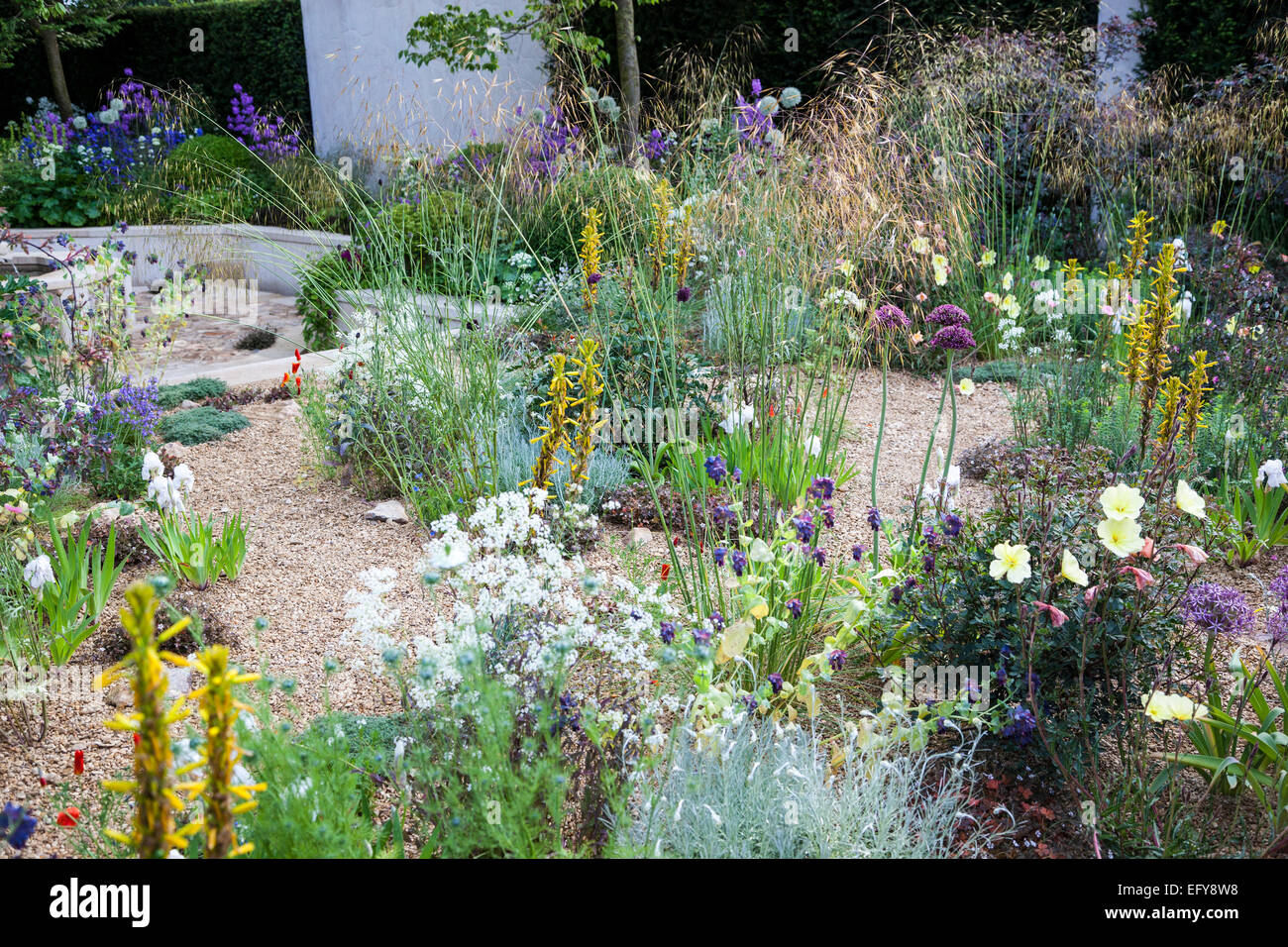 Jardin de gravier avec des herbes, Allium, Asphodeline et autres plantes résistantes à la sécheresse Banque D'Images