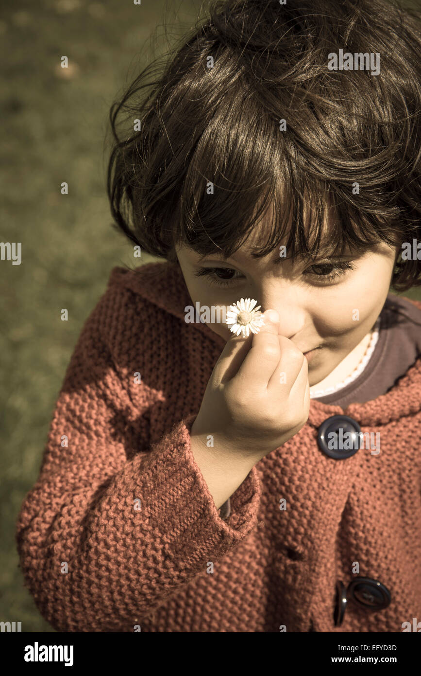 Petite fille avec une marguerite Banque D'Images