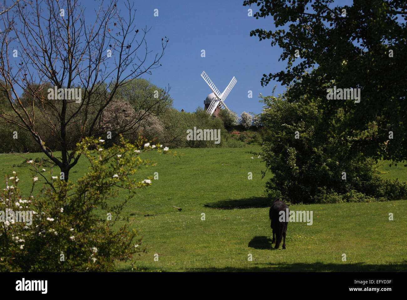 Le moulin à Napton on the Hill dans le Warwickshire Banque D'Images