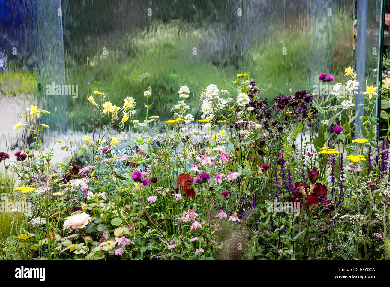 Pavillon avec mur d'eau transparent et plantation naturaliste mixte - Design: LDC Design, Chelsea Flower Show 2014 Banque D'Images