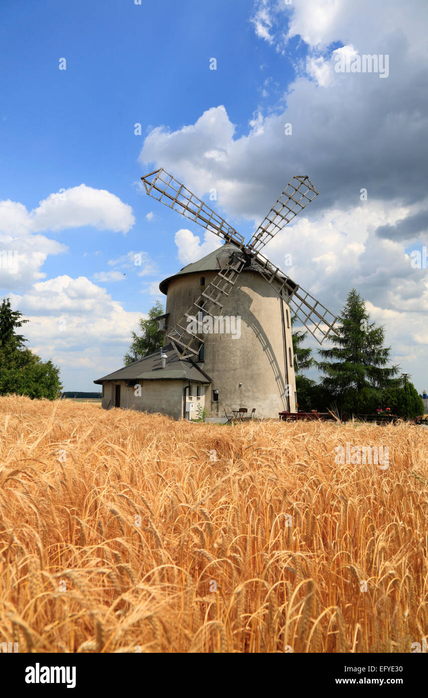 Moulin dans Lowkowice (Lobkowitz) près d'Opole, Silésie, Pologne, Europe Banque D'Images