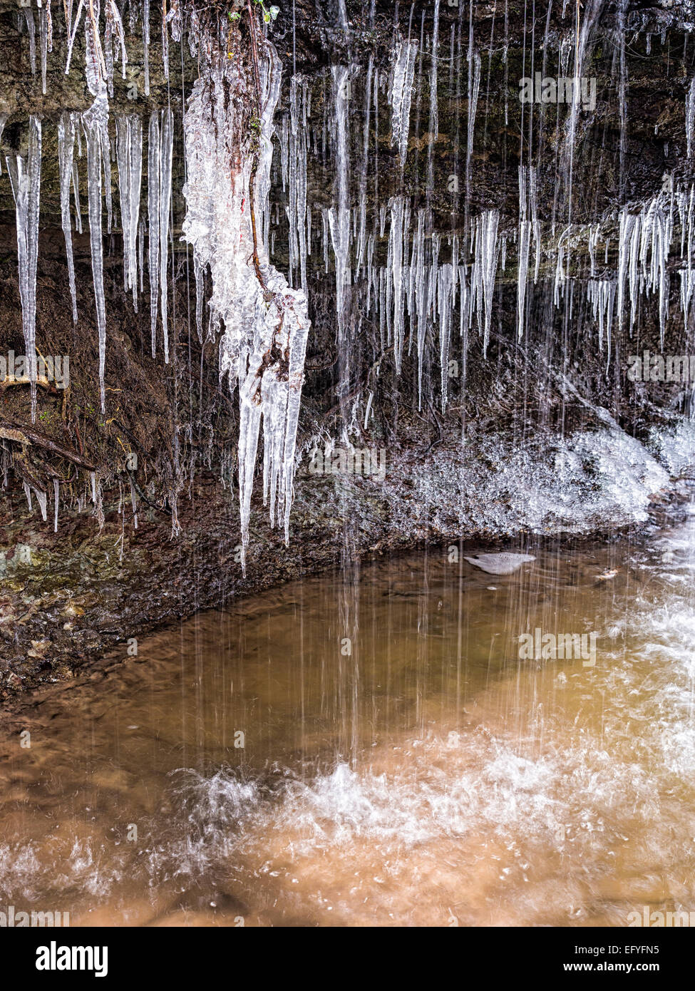 StrümpfeRMbach icicRMes avec brook en hiver, Swabian-Franconian Forêt, Bade-Wurtemberg, Allemagne Banque D'Images