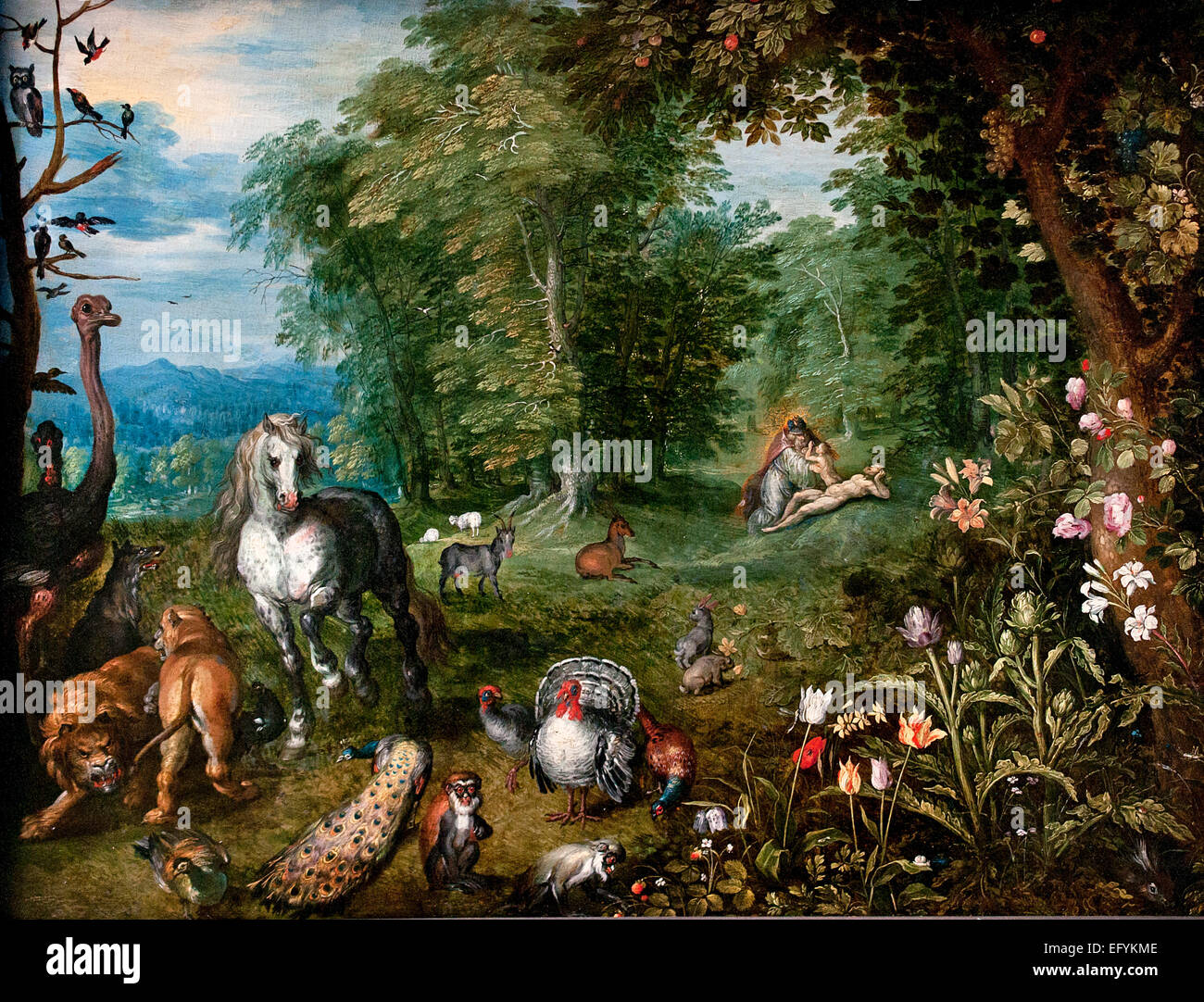 Paradise avec la création d'Eve 1636 par Jan Bruegel le Jeune belge Belgique 1601-1678 Banque D'Images