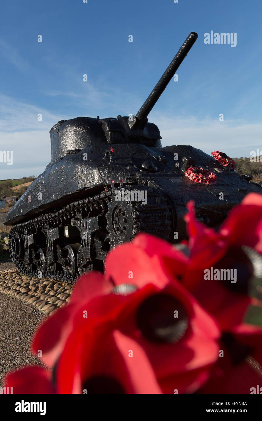 Des problèmes de mise au point avec coquelicots rouges nous un char Sherman memorial à l'arrière-plan. Banque D'Images
