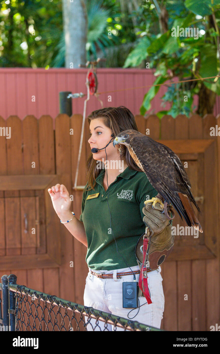 Me demande de la faune show à Sarasota Jungle Gardens à Sarasota en Floride Banque D'Images