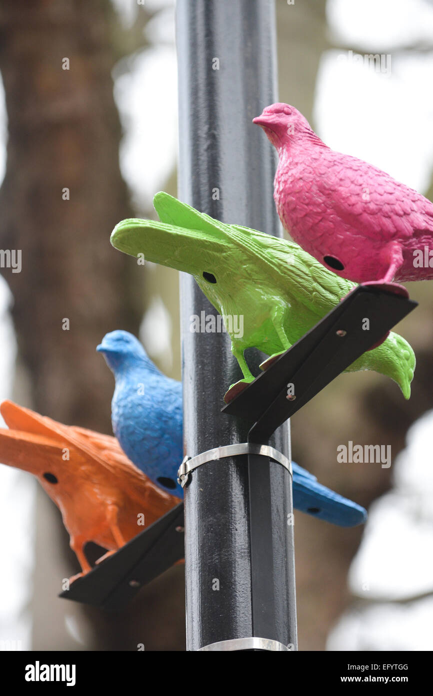 Soho Square, London, UK. 12 février 2015. L'installation d'art organisée par la carte Sim Smith Gallery, appelé 'Troupeau' par l'artiste Patrick Murphy dans le quartier londonien de Soho. Crédit : Matthieu Chattle/Alamy Live News Banque D'Images