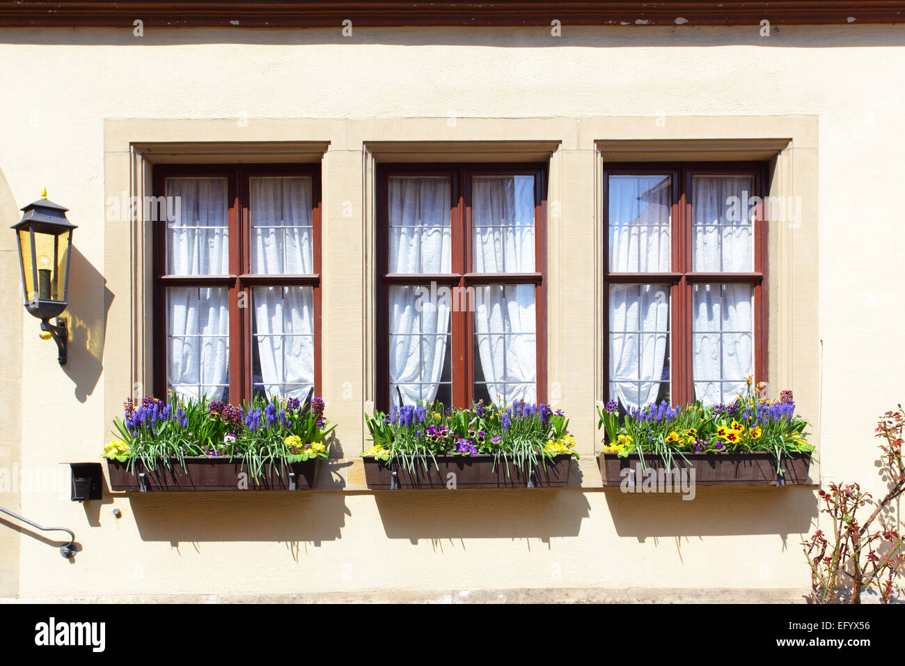Maison ancienne de Windows avec des fleurs, Allemagne Banque D'Images