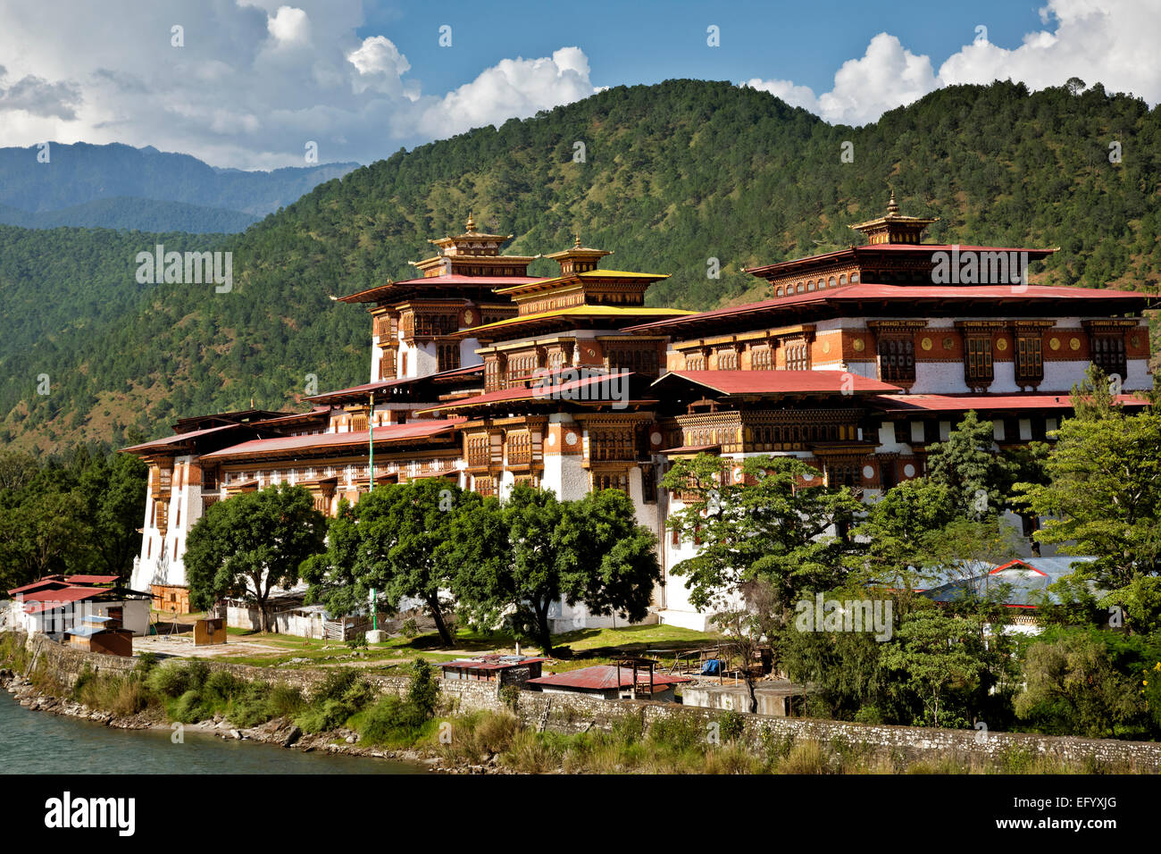 Bhoutan - Punakha Dzong (monastère) et les bureaux du gouvernement, a été la capitale et siège du gouvernement jusqu'au milieu des années 50. Banque D'Images