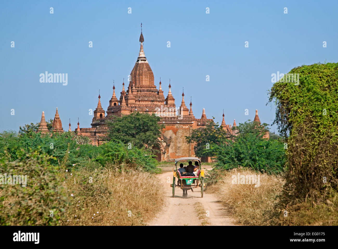 Les touristes en calèche visite de la pagode du temple bouddhiste antique / dans la plaine de Bagan, Mandalay, Myanmar / Birmanie Région Banque D'Images