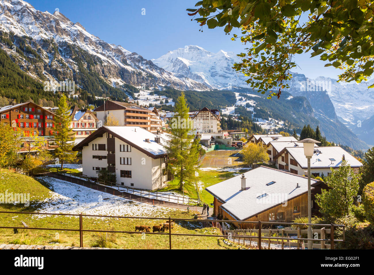 Wengen, Oberland Bernois, Alpes Suisses, Suisse, Europe Banque D'Images