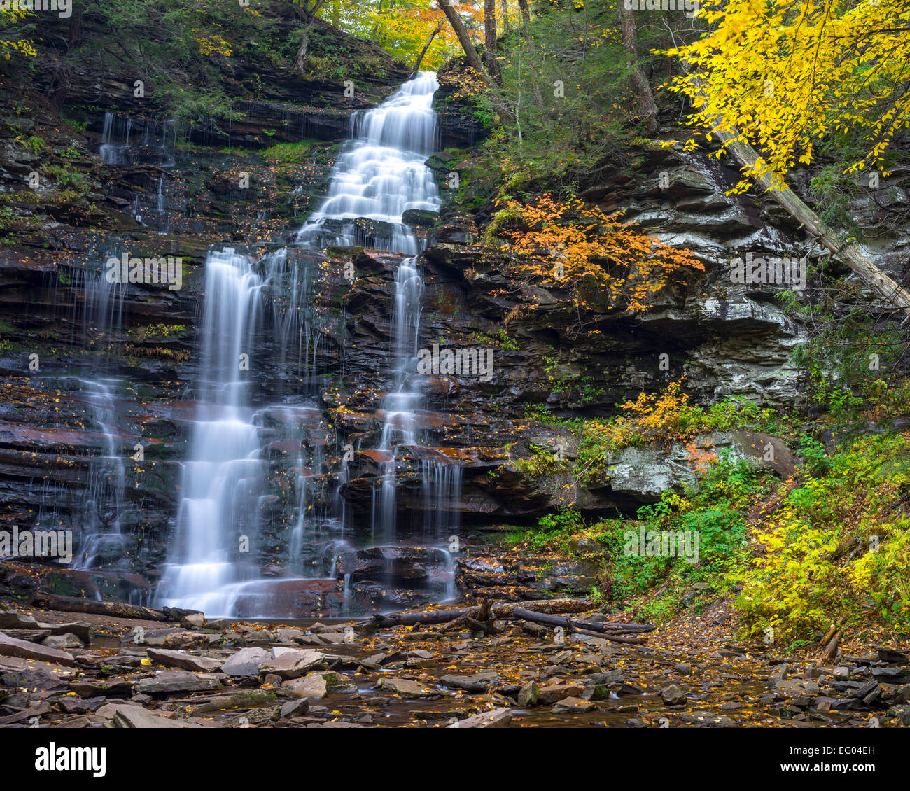 Ricketts Glen State Park, PA : Ganoga Falls Creek sur la cuisine en automne Banque D'Images