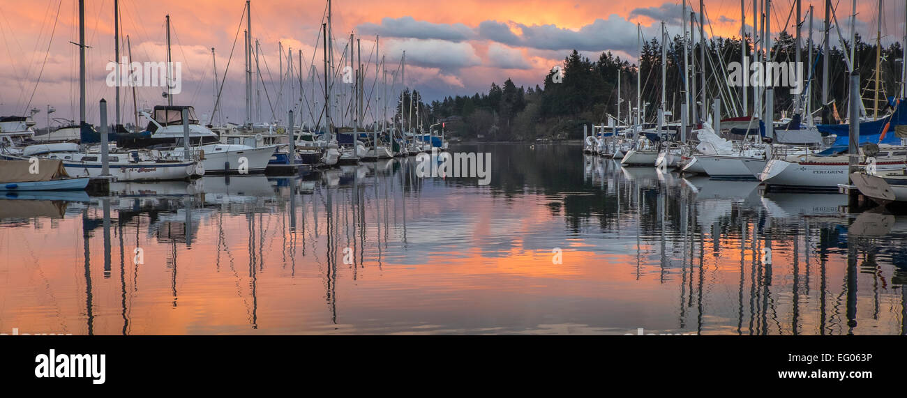 Vashon Island, Washington : Coucher de soleil nuages reflétant sur Intendance Harbor Banque D'Images