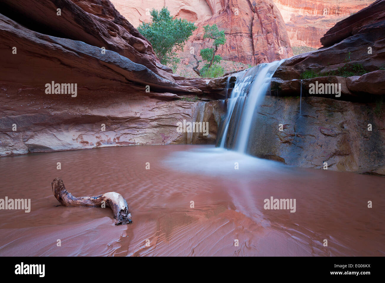 Une chute dans la section inférieure de Coyote Gulch dans le Glen Canyon National Recreation Area de l'Utah. USA. printemps. Banque D'Images