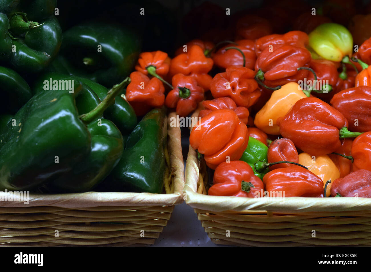 De magnifiques poivrons verts et rouges, légumes, ont été sélectionnés pour être photographiés Banque D'Images