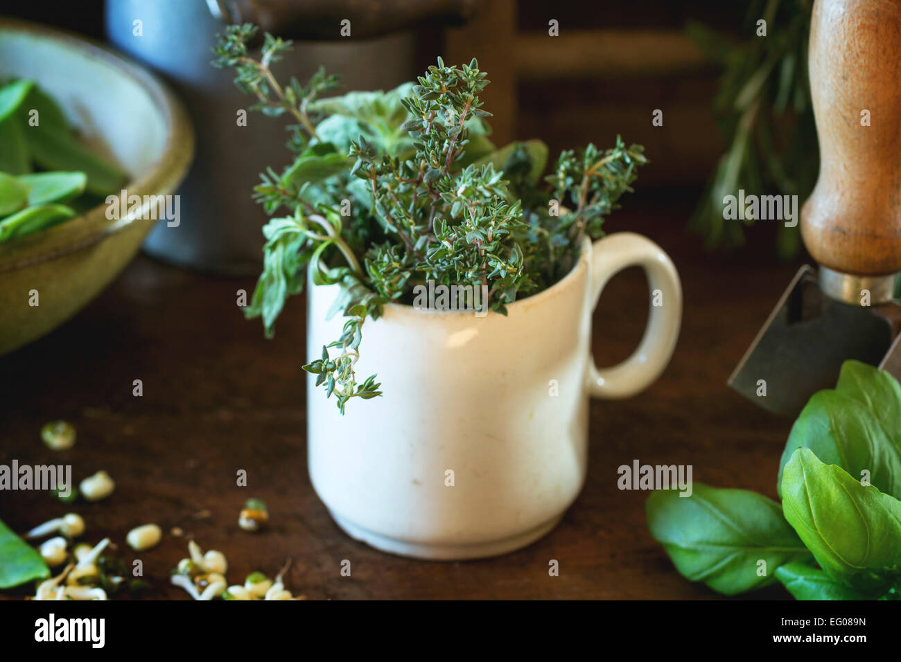 Les jeunes les petits pois et mélange d'herbes et basilic Romarin avec vintage ustensile de cuisine sur table en bois Banque D'Images