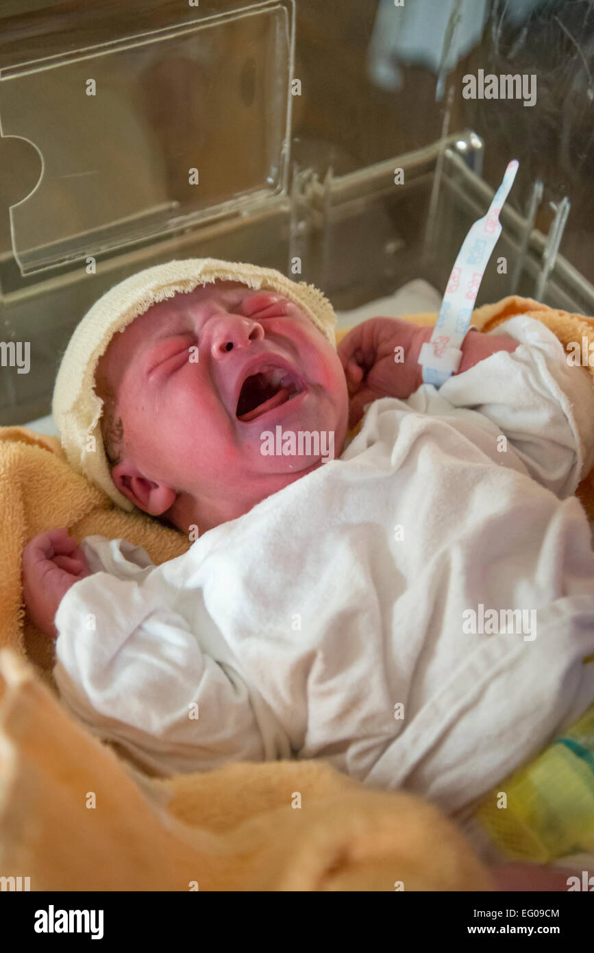 New Born Baby Boy pleurer dans l'hôpital en plastique de bébé. Banque D'Images