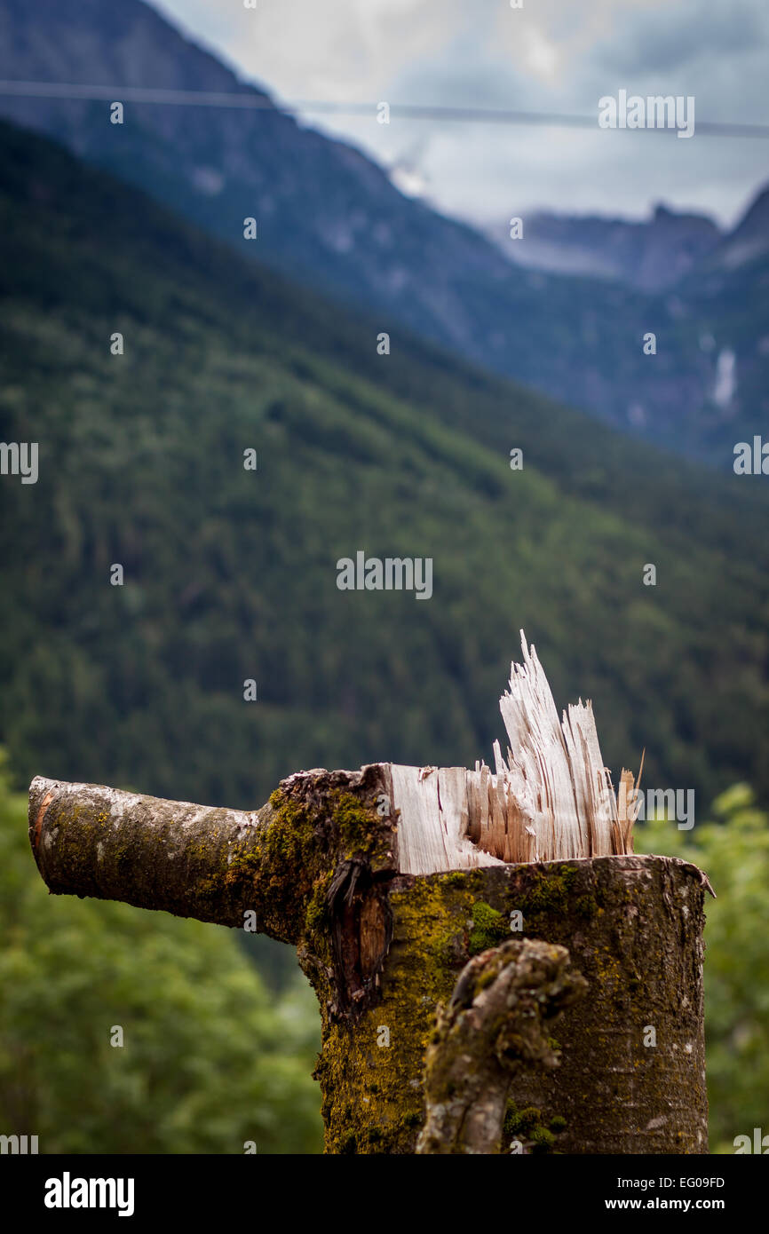 Val Camonica (Vallée Camonica) est l'une des grandes vallées des Alpes centrales, dans l'est de la Lombardie. Banque D'Images