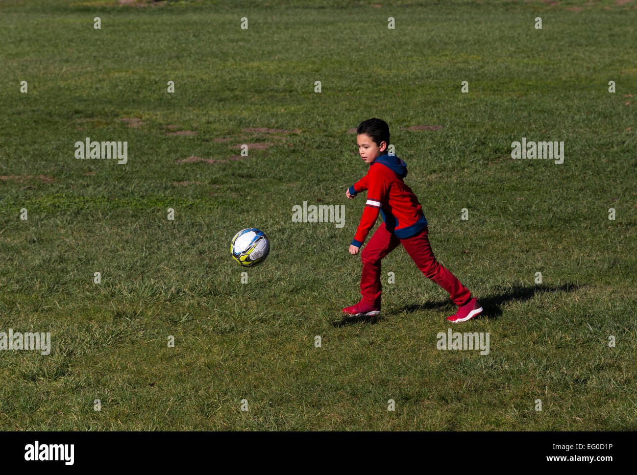 Young Hispanic boy apprendre à jouer au soccer à coups de ballon de soccer tout en jouant au football dans la région de Pioneer Park dans la ville de Novato, Californie Banque D'Images