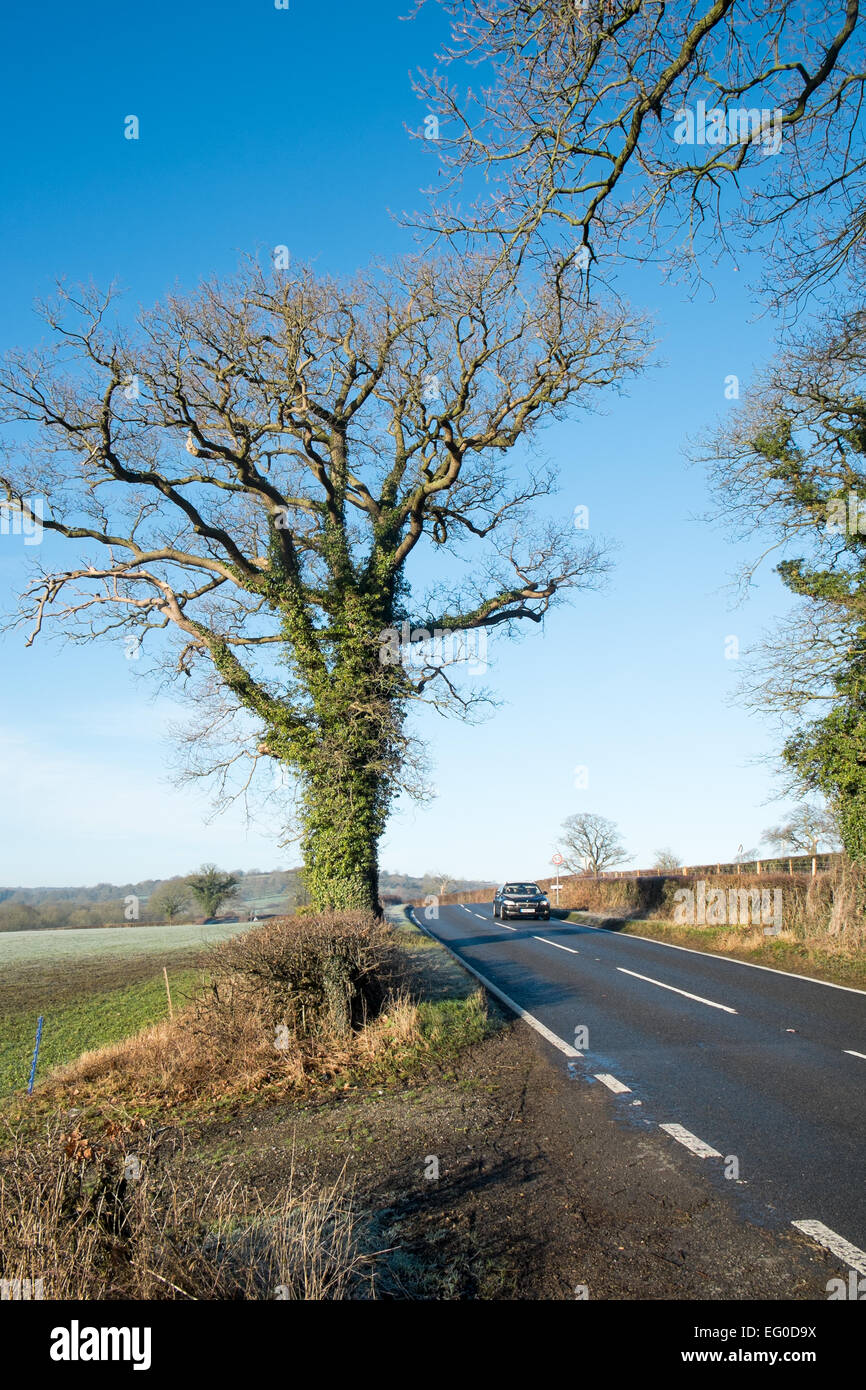 Campagne du Derbyshire sur un hivers janvier 24, entre les villages de Wirksworth et Shottle,Angleterre Banque D'Images