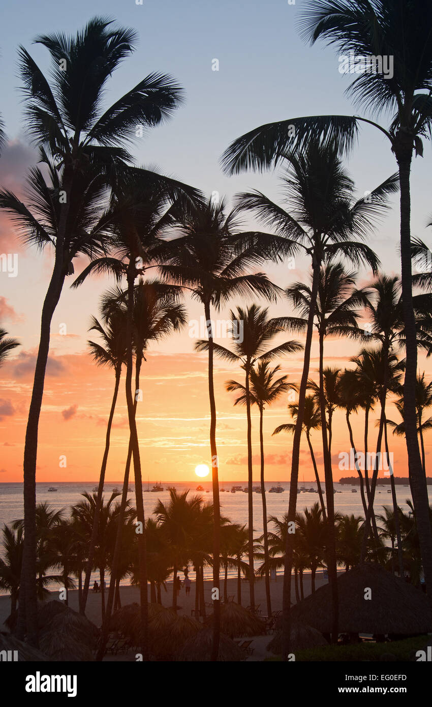 République dominicaine. Les palmiers se découpant contre le soleil levant à Punta Cana Beach. 2015. Banque D'Images
