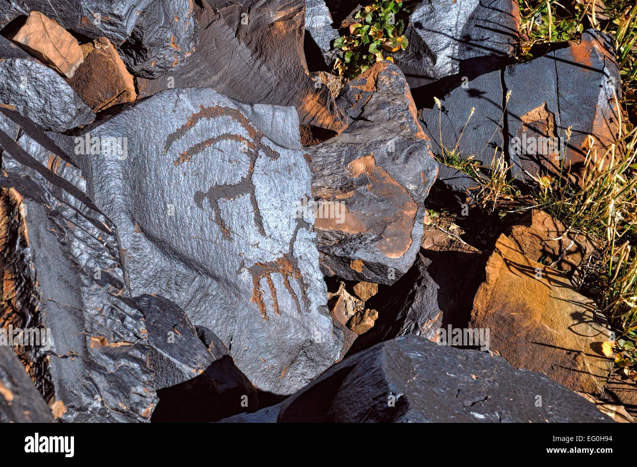 D'anciens pétroglyphes gravés sur rock le Saimaluu site Tash au Kirghizstan Banque D'Images
