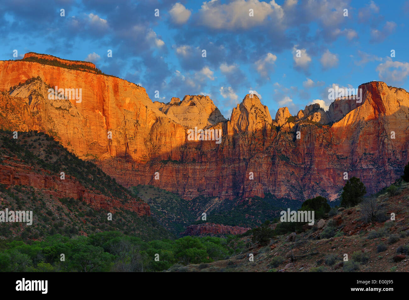 Lever du soleil sur les tours de la Vierge, Zion National Park, Utah, USA Banque D'Images