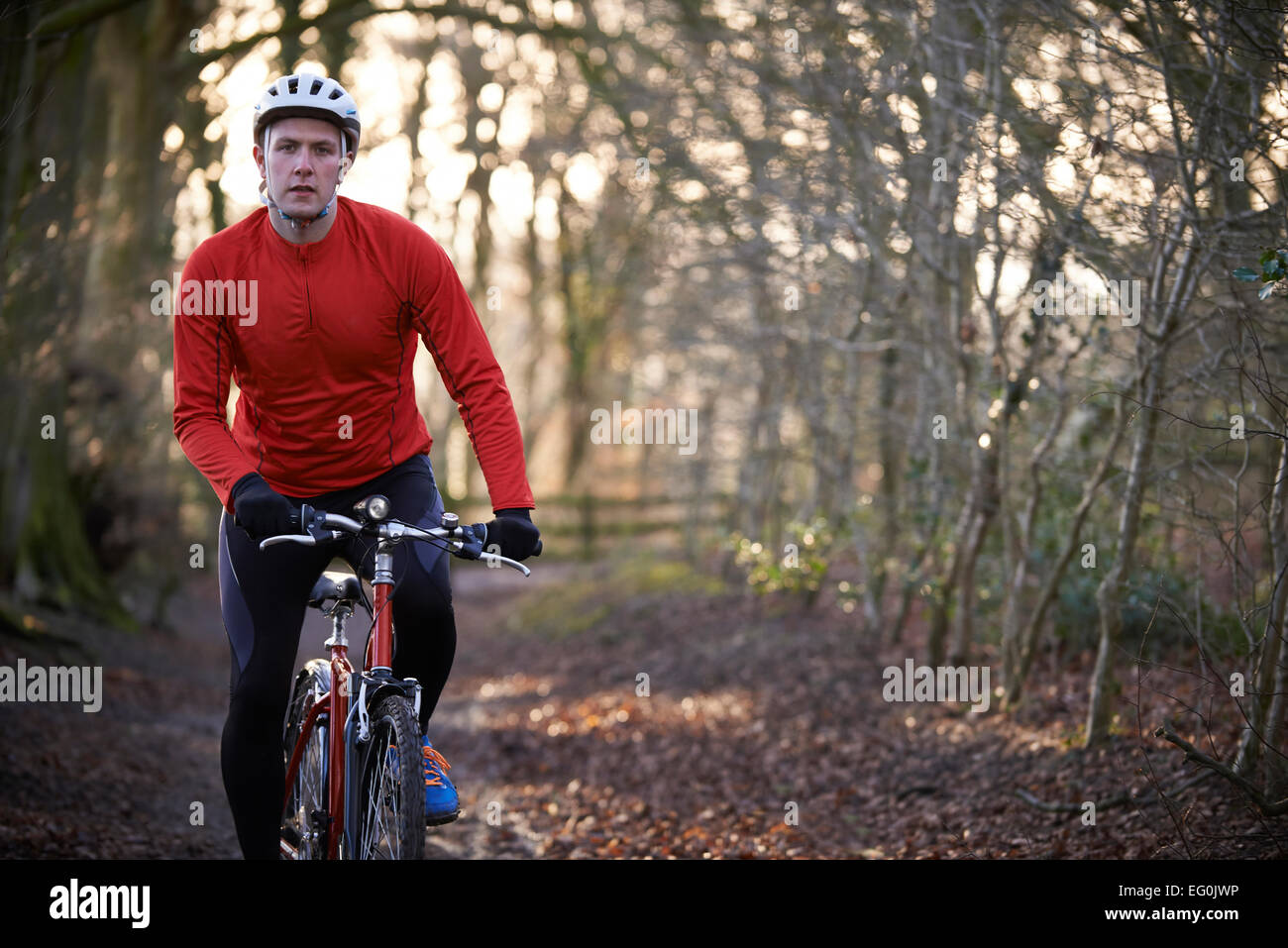 Man Riding Mountain Bike à travers des bois Banque D'Images