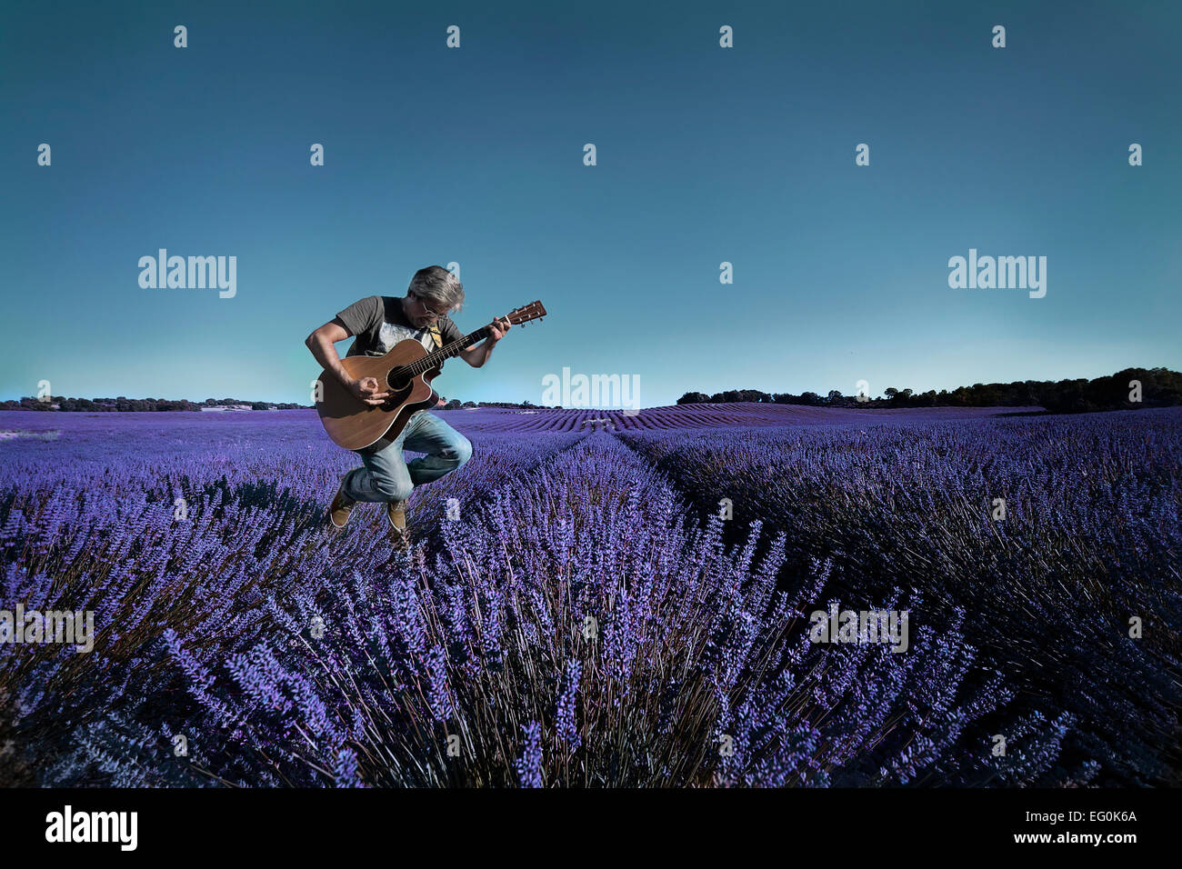 Man playing guitar in lavender field Banque D'Images