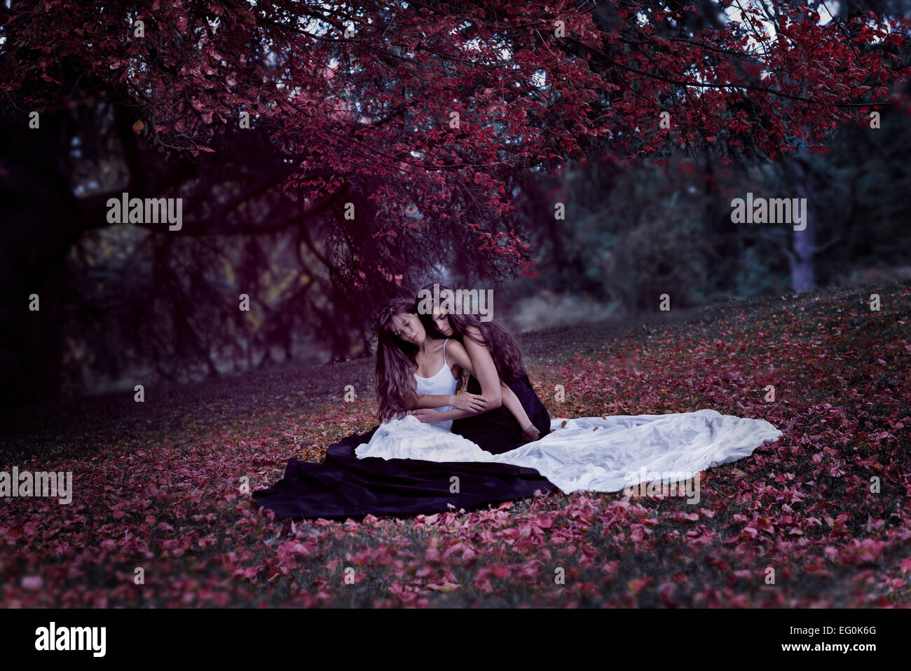 Deux femmes assises dans une forêt d'automne embrassant Banque D'Images