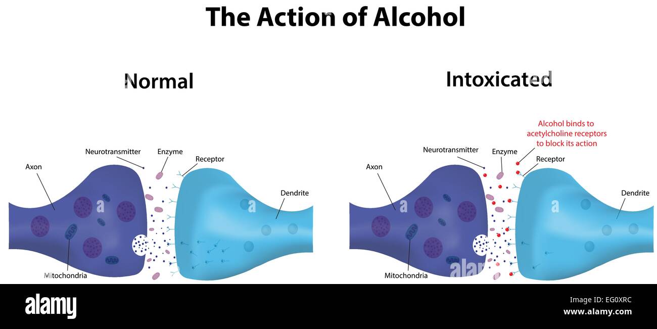 Alcool Illustration de Vecteur