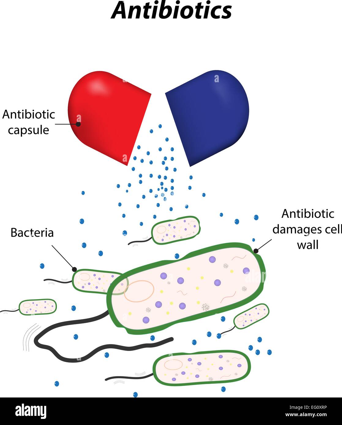 Antibiotiques Illustration de Vecteur