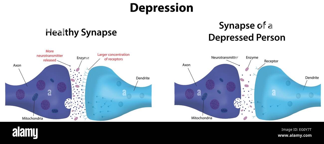 Synapse Dépression Illustration de Vecteur