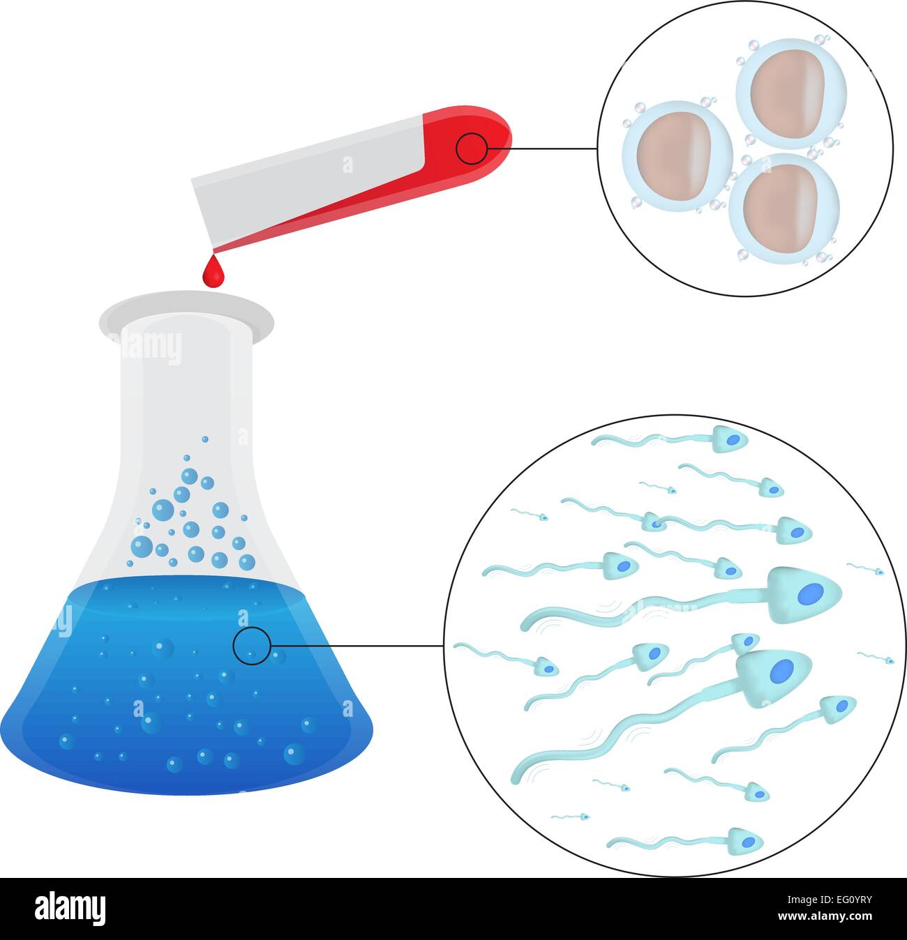 La FIV La fécondation in vitro Illustration de Vecteur