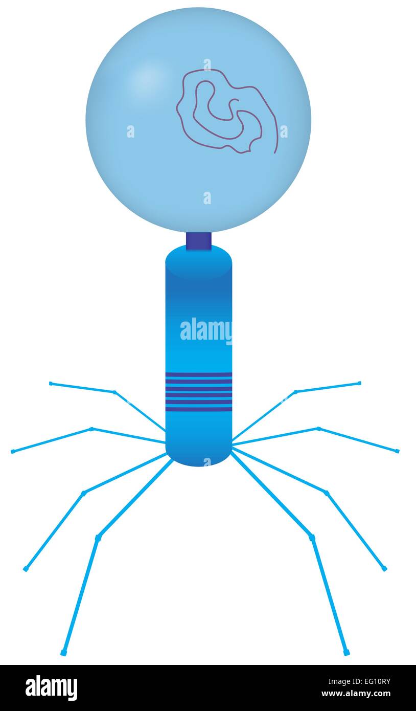 Virus Illustration de Vecteur