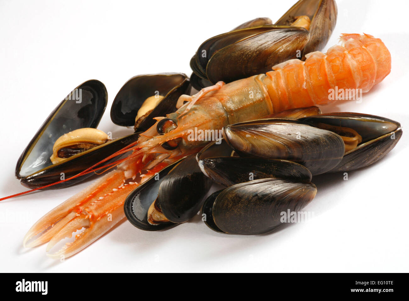 Allergie aux fruits de mer Banque de photographies et d’images à haute résolution Page 2 Alamy