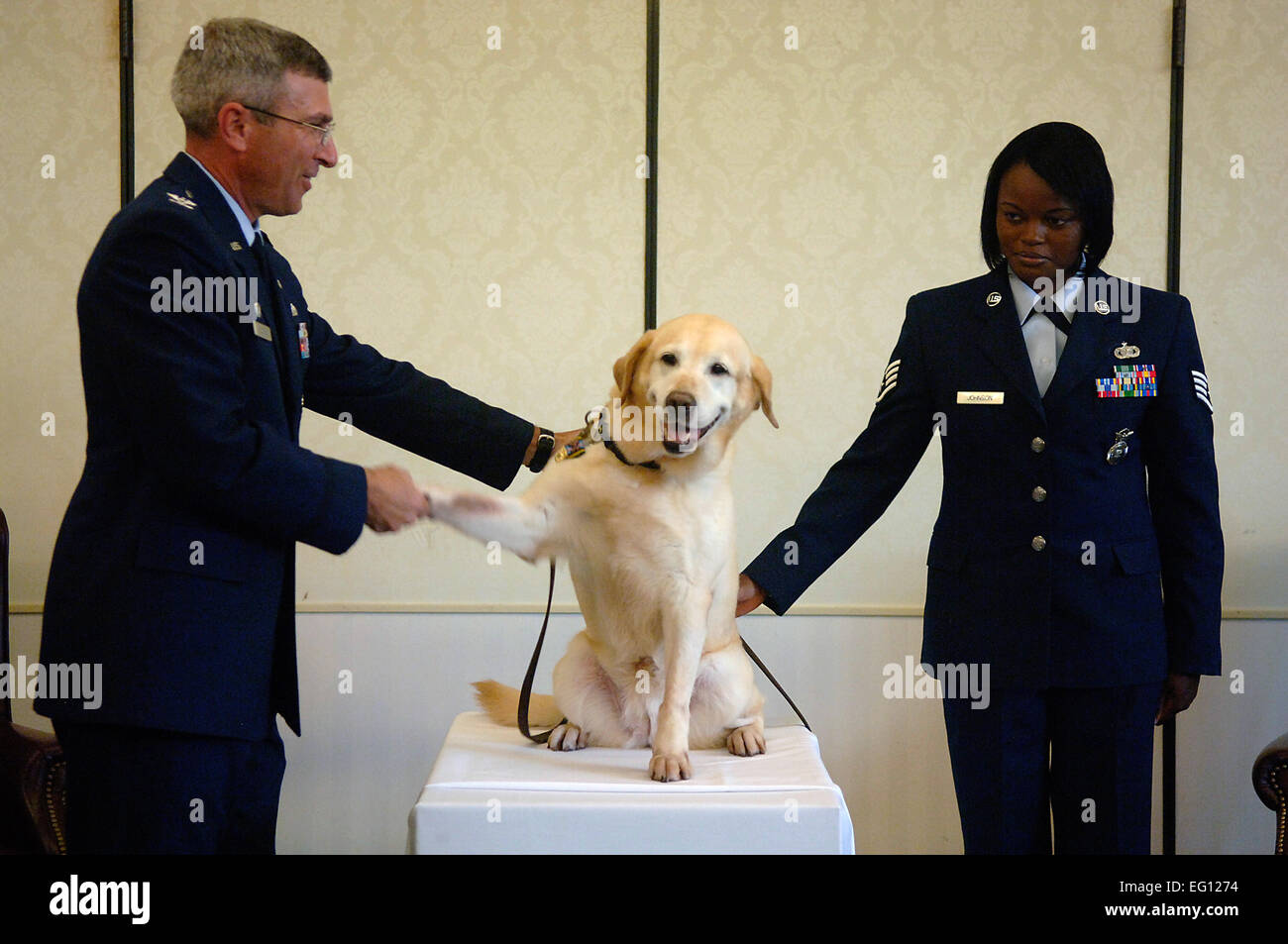 U.S. Air Force Le colonel Frank Jones secoue Liz's paw pendant sa retraite cérémonie sur la base aérienne de Charleston, S.C., le mardi 10 juin 2008. Le colonel Jones est le 437e Groupe de soutien de mission commandant. Liz est un chien de travail militaire qui a servi dans le 437e Escadron des Forces de sécurité pendant 10 ans. Elle a été sur une multitude d'affectations temporaires à des endroits tels que la Grèce, l'Arabie Saoudite et l'Iraq. Liz s'est également rendue sur sept différents services secrets et missions du Département d'État pour protéger le président George Bush et le président Bill Clinton. Pilchreleased Senior Airman Nicholas Banque D'Images