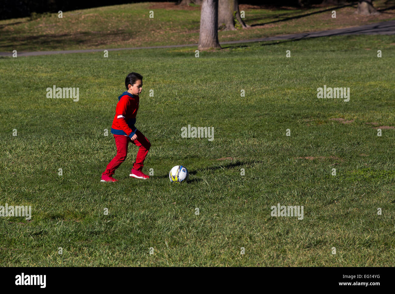 Young Hispanic boy apprendre à jouer au soccer à coups de ballon de soccer tout en jouant au football dans la région de Pioneer Park dans la ville de Novato, Californie Banque D'Images