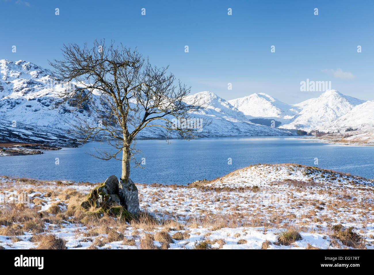 Loch Arklet en plein hiver, les Trossachs, Ecosse, Royaume-Uni. Banque D'Images